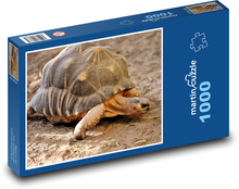 Żółw lądowy w piasku Puzzle 1000 elementów - 60x46 cm