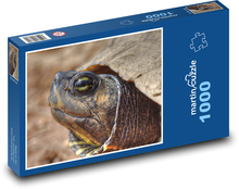 Schildkröte Puzzle 1000 Teile - 60 x 46 cm