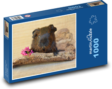 Świnka morska z kwiatem Puzzle 1000 elementów - 60x46 cm