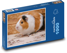Cute white and brown guinea pig Puzzle 1000 pieces - 60 x 46 cm 