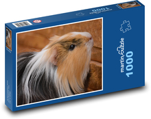 Long-haired guinea pig Puzzle 1000 pieces - 60 x 46 cm 