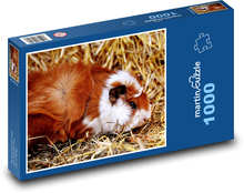 Morča schované v slame Puzzle 1000 dielikov - 60 x 46 cm 