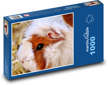 Guinea pig Puzzle 1000 pieces - 60 x 46 cm 