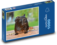 Guinea pig and donut Puzzle 1000 pieces - 60 x 46 cm 