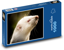 White Ferret Puzzle 1000 pieces - 60 x 46 cm 