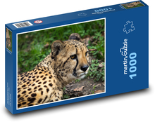 Lampart w lesie Puzzle 1000 elementów - 60x46 cm