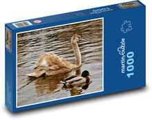 Mladá labuť a kačica Puzzle 1000 dielikov - 60 x 46 cm 