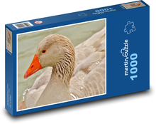 Elegantní husa na rybníce Puzzle 1000 dílků - 60 x 46 cm