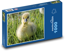 Kachňátko v trávě Puzzle 1000 dílků - 60 x 46 cm