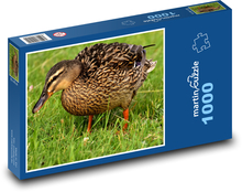 Kachna divoká v trávě Puzzle 1000 dílků - 60 x 46 cm