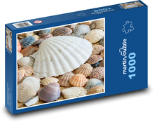 Mořské mušle Puzzle 1000 dílků - 60 x 46 cm