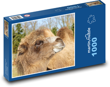 Camel Puzzle 1000 pieces - 60 x 46 cm 