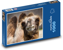 Camel with two humps Puzzle 1000 pieces - 60 x 46 cm