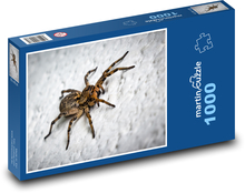A spider climbing a wall Puzzle 1000 pieces - 60 x 46 cm