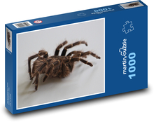 Spider Puzzle 1000 dielikov - 60 x 46 cm 