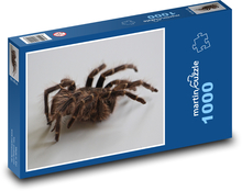 Tarantula - nočný pavúk Puzzle 1000 dielikov - 60 x 46 cm