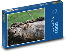 Pająk w lesie na pniu Puzzle 1000 elementów - 60x46 cm