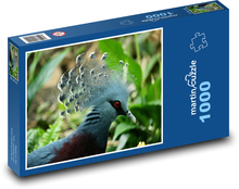 Král džungle - korunáč Puzzle 1000 - 60x46 cm