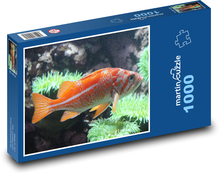 Orangenfisch am Korallenriff Puzzle 1000 Teile - 60 x 46 cm