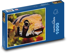 Egzotyczna ryba z otwartymi ustami Puzzle 1000 elementów - 60x46 cm