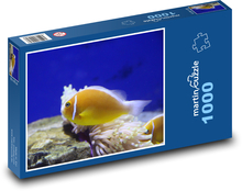 Yellow fish in the aquarium Puzzle 1000 pieces - 60 x 46 cm 