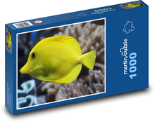 Žltá ryba - bodlok Puzzle 1000 dielikov - 60 x 46 cm 