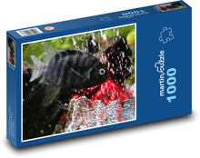 Ryby Puzzle 1000 dielikov - 60 x 46 cm 