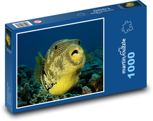 Fish Puzzle 1000 pieces - 60 x 46 cm 