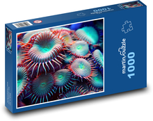 Anemone Puzzle 1000 pieces - 60 x 46 cm 