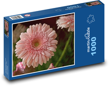 Růžová gerbera - květina Puzzle 1000 dílků - 60 x 46 cm