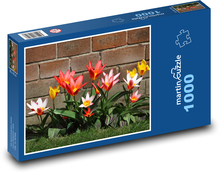 Tulipány pri tehlovej stene Puzzle 1000 dielikov - 60 x 46 cm