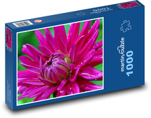 Pink dahlia flower in detail Puzzle 1000 pieces - 60 x 46 cm 