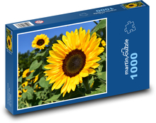 Sonnenblumenfeld Puzzle 1000 Teile - 60 x 46 cm