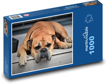 Hund - Continental Bulldogge Puzzle 1000 Teile - 60 x 46 cm