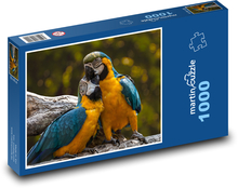 Papoušci - Ara Puzzle 1000 dílků - 60 x 46 cm