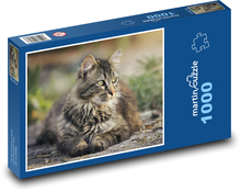 Odpoczywający kot Puzzle 1000 elementów - 60x46 cm