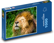 Lion African Puzzle 1000 pieces - 60 x 46 cm 