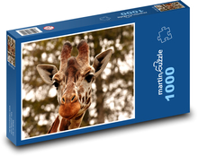 Żyrafa z dużymi oczami Puzzle 1000 elementów - 60x46 cm