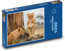 Lvice v Afrike Puzzle 1000 dielikov - 60 x 46 cm