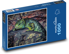 Jaszczurka na skale, jaszczurka Puzzle 1000 elementów - 60x46 cm