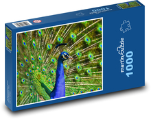 Páv - vták Puzzle 1000 dielikov - 60 x 46 cm 