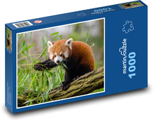 Červená Panda - zviera Puzzle 1000 dielikov - 60 x 46 cm 