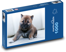 Mały szczeniak - pies Puzzle 1000 elementów - 60x46 cm