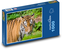 Tygr - zvíře Puzzle 1000 dílků - 60 x 46 cm