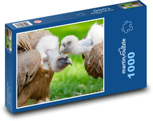 Bald vulture, juveniles Puzzle 1000 pieces - 60 x 46 cm