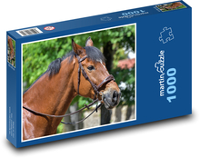 Koń w uprzęży Puzzle 1000 elementów - 60x46 cm