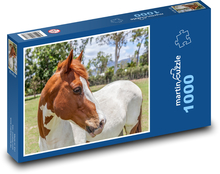 Kůň Puzzle 1000 dílků - 60 x 46 cm