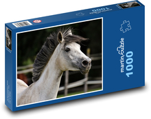Elegant white horse, head detail Puzzle 1000 pieces - 60 x 46 cm 