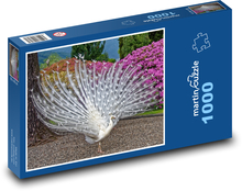 Biely páv so šíreným chvostom Puzzle 1000 dielikov - 60 x 46 cm 