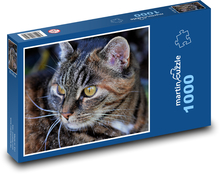 Mačka s bielou bradou Puzzle 1000 dielikov - 60 x 46 cm 